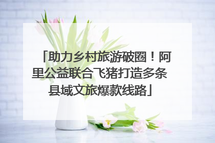 助力乡村旅游破圈！阿里公益联合飞猪打造多条县域文旅爆款线路