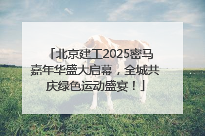 北京建工2025密马嘉年华盛大启幕，全城共庆绿色运动盛宴！