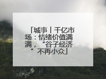 城事︱千亿市场：情绪价值满满，“谷子经济”不再小众