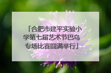 合肥市建平实验小学第七届艺术节巴乌专场比赛圆满举行