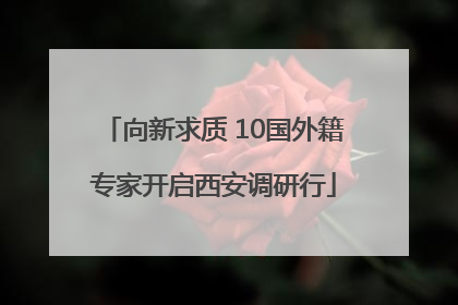 向新求质 10国外籍专家开启西安调研行