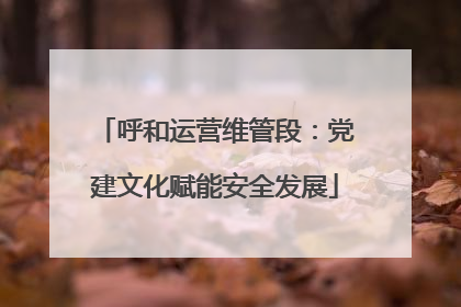 呼和运营维管段：党建文化赋能安全发展
