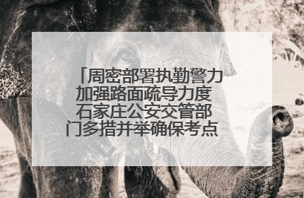 周密部署执勤警力 加强路面疏导力度 石家庄公安交管部门多措并举确保考点周边交通环境良好