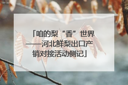 咱的梨“香”世界——河北鲜梨出口产销对接活动侧记