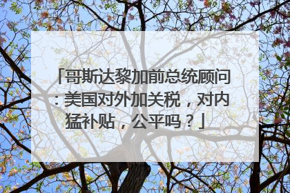 哥斯达黎加前总统顾问：美国对外加关税，对内猛补贴，公平吗？