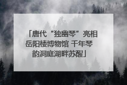 唐代“独幽琴”亮相岳阳楼博物馆 千年琴韵洞庭湖畔苏醒