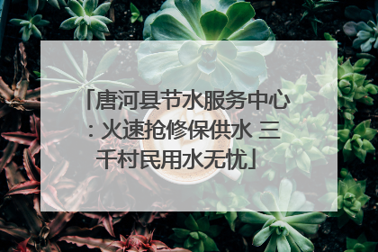 唐河县节水服务中心：火速抢修保供水 三千村民用水无忧