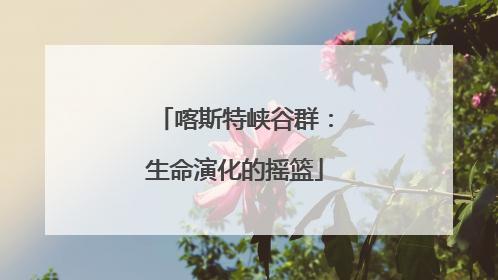 喀斯特峡谷群：生命演化的摇篮