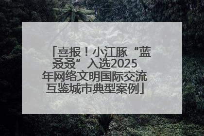喜报！小江豚“蓝叒叒”入选2025年网络文明国际交流互鉴城市典型案例
