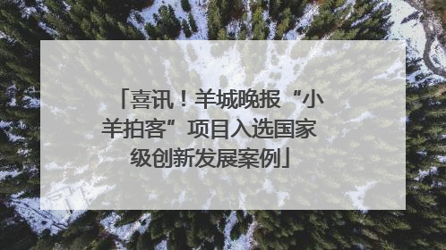 喜讯！羊城晚报“小羊拍客”项目入选国家级创新发展案例