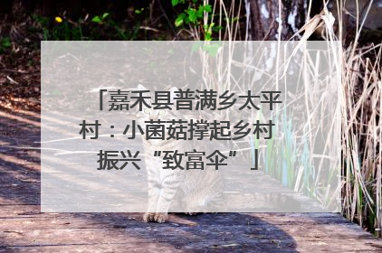 嘉禾县普满乡太平村：小菌菇撑起乡村振兴“致富伞”