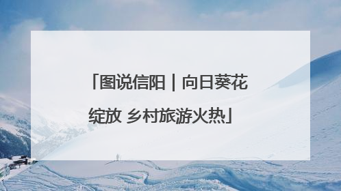 图说信阳｜向日葵花绽放 乡村旅游火热