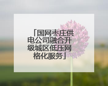 国网枣庄供电公司融合升级城区低压网格化服务