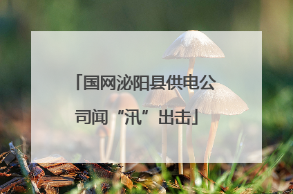 国网泌阳县供电公司闻“汛”出击