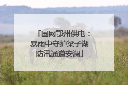 国网鄂州供电：暴雨中守护梁子湖防汛通道安澜