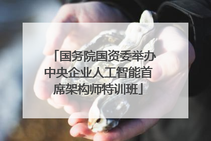 国务院国资委举办中央企业人工智能首席架构师特训班