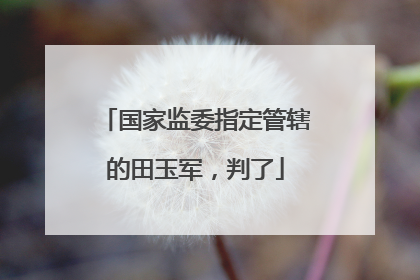 国家监委指定管辖的田玉军，判了