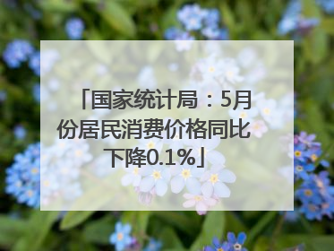 国家统计局：5月份居民消费价格同比下降0.1%