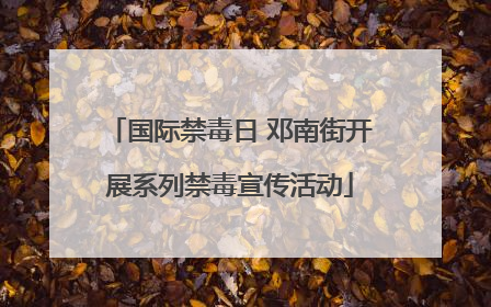 国际禁毒日 邓南街开展系列禁毒宣传活动