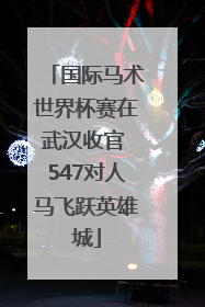 国际马术世界杯赛在武汉收官 547对人马飞跃英雄城