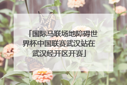国际马联场地障碍世界杯中国联赛武汉站在武汉经开区开赛
