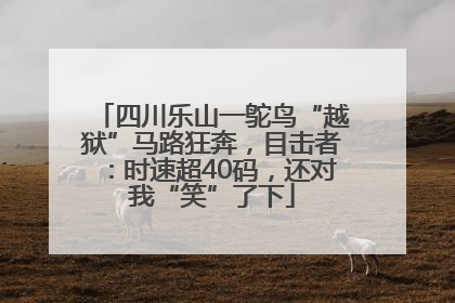 四川乐山一鸵鸟“越狱”马路狂奔，目击者：时速超40码，还对我“笑”了下