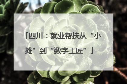 四川：就业帮扶从“小摊”到“数字工匠”