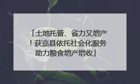 土地托管、省力又增产！获嘉县依托社会化服务助力粮食增产增收