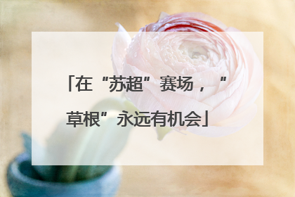 在“苏超”赛场，“草根”永远有机会