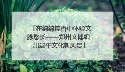 在绵绵粽香中体验文脉悠长——郑州文博织出端午文化新风景