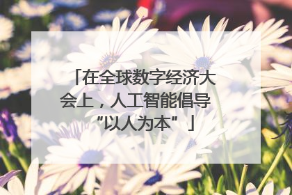 在全球数字经济大会上，人工智能倡导“以人为本”