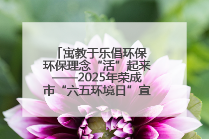 寓教于乐倡环保 环保理念“活”起来——2025年荣成市“六五环境日”宣传活动圆满举行