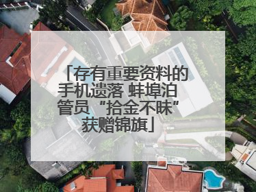 存有重要资料的手机遗落 蚌埠泊管员“拾金不昧”获赠锦旗