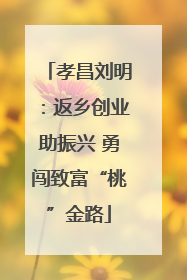 孝昌刘明：返乡创业助振兴 勇闯致富“桃”金路