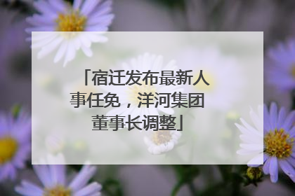 宿迁发布最新人事任免，洋河集团董事长调整
