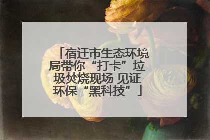 宿迁市生态环境局带你“打卡”垃圾焚烧现场 见证环保“黑科技”