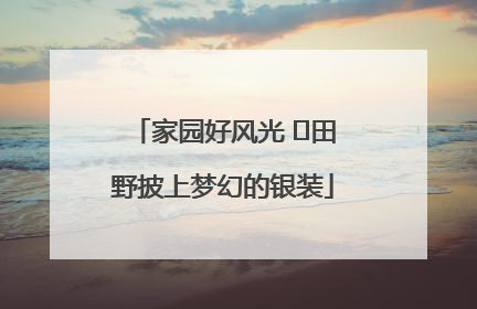 家园好风光 ⎮田野披上梦幻的银装