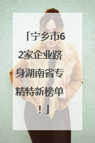 宁乡市62家企业跻身湖南省专精特新榜单！