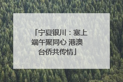 宁夏银川：塞上端午聚同心 港澳台侨共传情