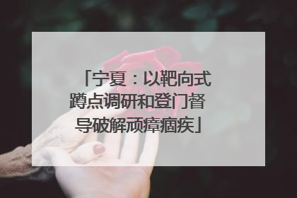 宁夏：以靶向式蹲点调研和登门督导破解顽瘴痼疾
