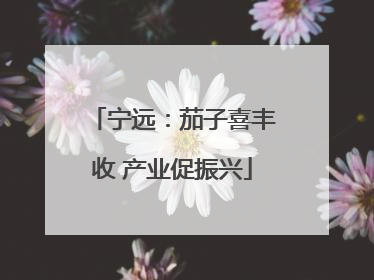 宁远：茄子喜丰收 产业促振兴