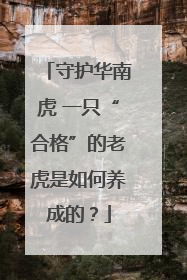 守护华南虎 一只“合格”的老虎是如何养成的？