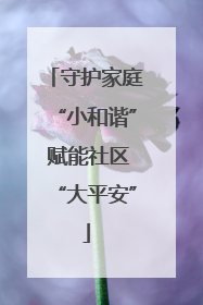 守护家庭“小和谐” 赋能社区“大平安”