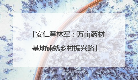 安仁黄林军：万亩药材基地铺就乡村振兴路