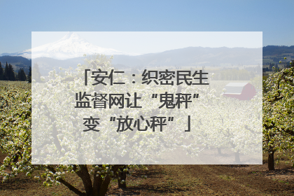 安仁：织密民生监督网让“鬼秤”变“放心秤”