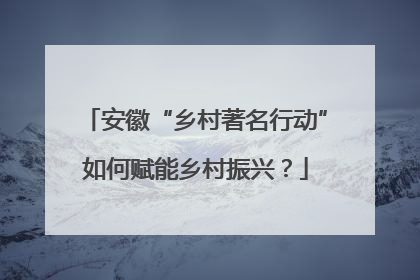 安徽“乡村著名行动”如何赋能乡村振兴？