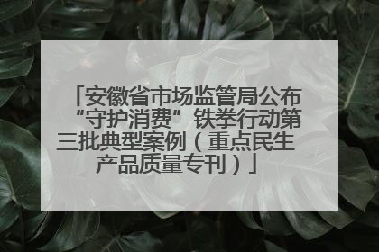 安徽省市场监管局公布“守护消费”铁拳行动第三批典型案例（重点民生产品质量专刊）
