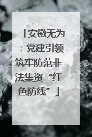 安徽无为：党建引领筑牢防范非法集资“红色防线”