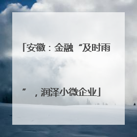 安徽：金融“及时雨”，润泽小微企业