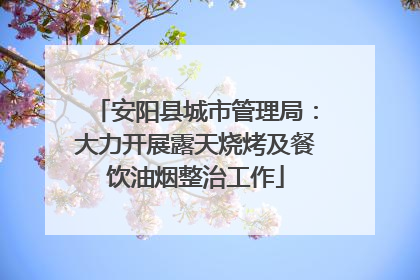 安阳县城市管理局：大力开展露天烧烤及餐饮油烟整治工作